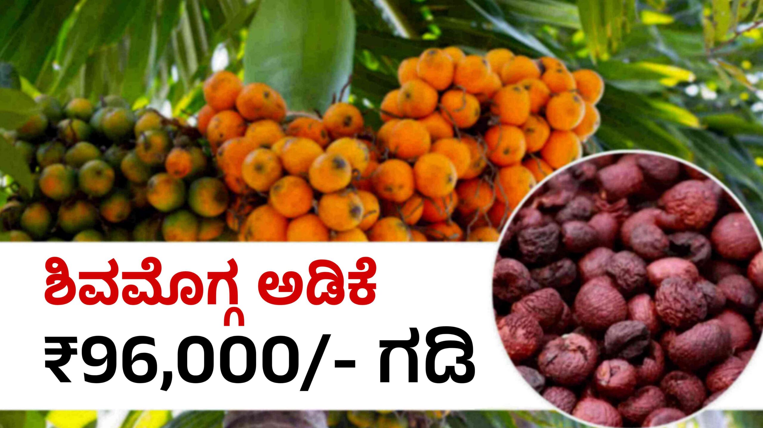 ಶಿವಮೊಗ್ಗ ಅಡಿಕೆ ದರ Arecanut Price scaled
