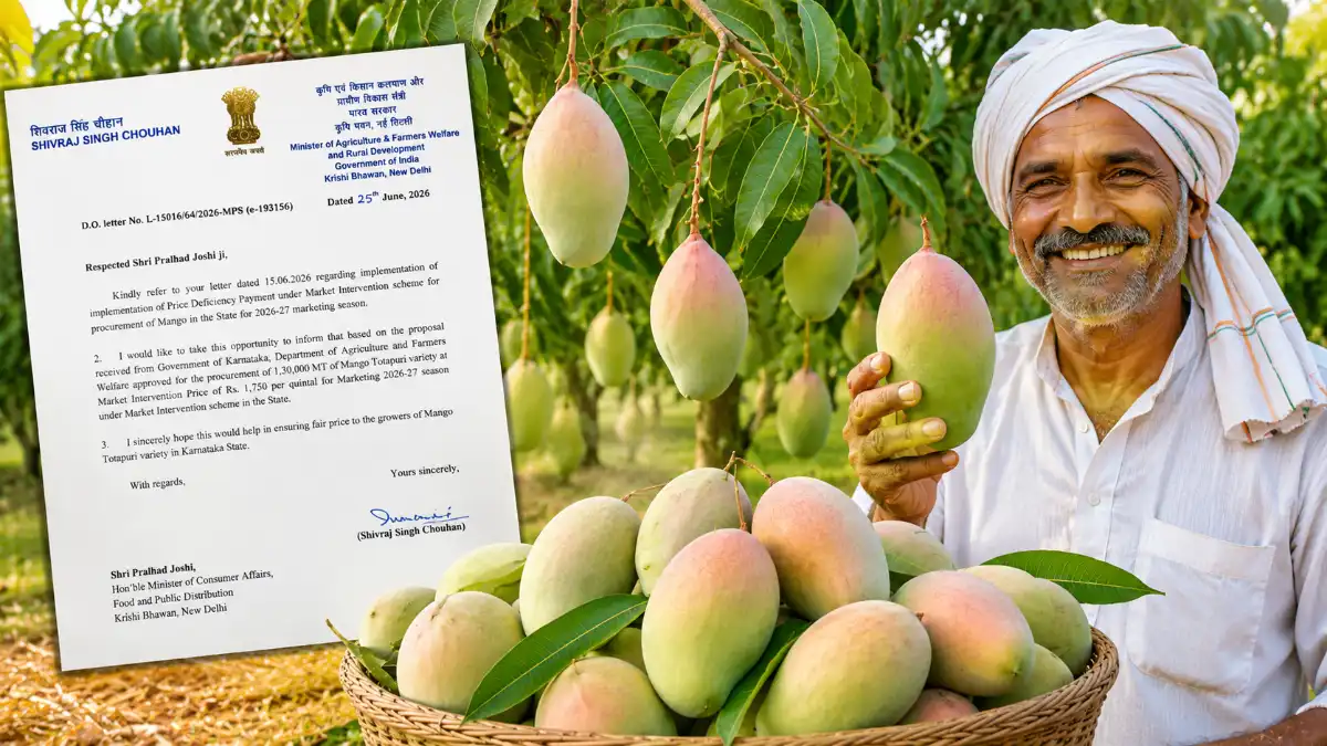 MangoGrowers