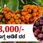 arecanut price ಶಿವಮೊಗ್ಗ ಅಡಿಕೆ JUNE 2