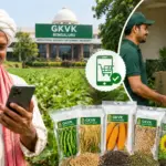 gkvk seed purchase online